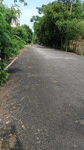 7th Phase Plot View 2
