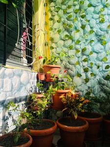 Image of 600 Sq.ft 2 BHK Apartment / Flat for sale in Kharbi, Nagpur for Rs. 4200000