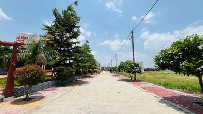 Image of 800 Sq.ft Residential Plot / Land for sale in Rau, Indore for Rs. 2800000