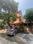 Block F, Delta I Greater Noida Main Image 1
