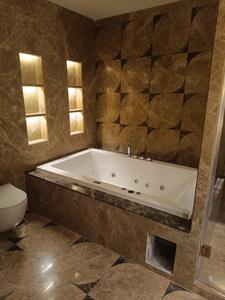 Bathroom Image of 5000 Sq.ft 4 BHK Builder Floor for sale in Vasant Vihar New Delhi for Rs. 350000000