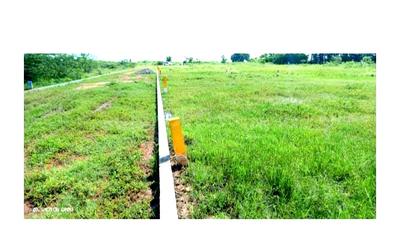 Image of 1200 Sq.ft Residential Plot / Land for sale in Viradhanur, Madurai for Rs. 110000