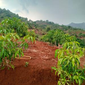 Image of 12000 Sq.ft Residential Plot / Land for sale in Bhor, Pune for Rs. 1200000