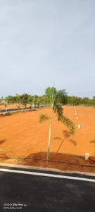 Image of 1200 Sq.ft Residential Plot / Land for sale in Trichy, Tiruchirappalli for Rs. 1000000