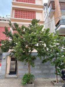 Image of 2000 Sq.ft 3 BHK Independent House for rent in Sahakara Nagar, Bengaluru for Rs. 75000