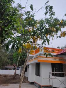 Image of 1018 Sq.ft 3 BHK Independent House for sale in Pattukalam, Alappuzha for Rs. 8500000