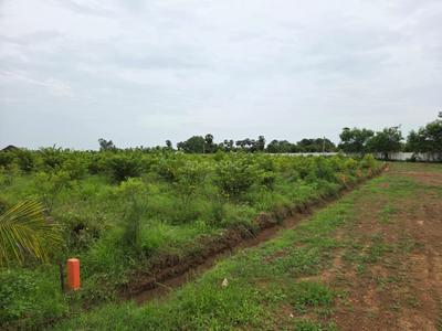 Image of 100 Sq.ft Residential Plot / Land for sale in Gajapatinagaram, Vizianagaram for Rs. 550000