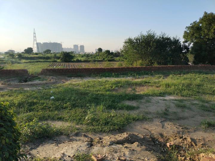 Sector 17 Greater Noida West, Bhanauta Main Image 1