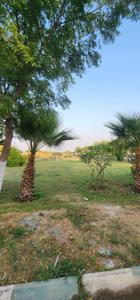 Image of 800 Sq.ft Residential Plot / Land for sale in Talawali Chanda, Indore for Rs. 5600000