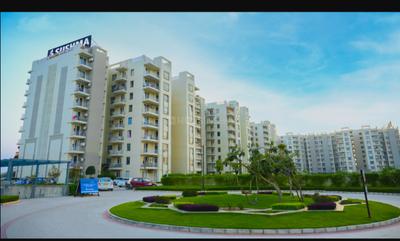 Image of 800 Sq.ft 2 BHK Apartment / Flat for rent in PR7 Airport Road, Zirakpur for Rs. 22000