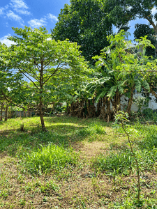Image of 4150 Sq.ft Residential Plot / Land for sale in Kakkanad, Kochi for Rs. 19000000