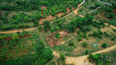 Image of 3600 Sq.ft 3 BHK Farm House for sale in Harohalli, Anekal, Bengaluru for Rs. 12000000