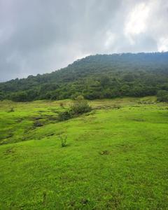 Image of 20000 Sq.ft Residential Plot / Land for sale in Bhor, Pune for Rs. 1800000