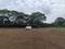 Neral Plot View 3