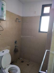 Bathroom Image of 1230 Sq.ft 3 BHK Apartment / Flat for sale in Amrapali Pan Oasis, Sector 70 Noida for Rs. 14500000