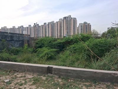 Sector 151 Plot View 1