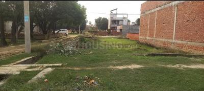 Para Plot View 3