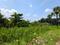 Diamond Park, Joka Plot View 2