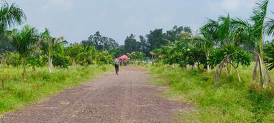 Image of 5000 Sq.ft Residential Plot / Land for sale in Changurabhata, Raipur for Rs. 3255000