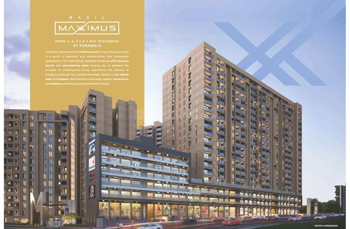 Basil Maximus Main Image 1