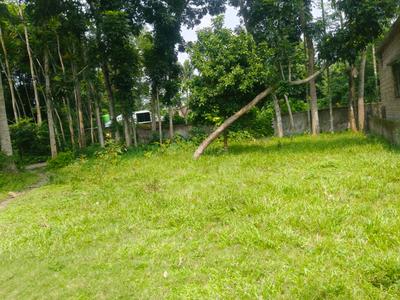 Image of 2880 Sq.ft Residential Plot / Land for sale in Krishnanagar, Nadia for Rs. 3000000
