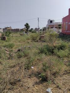 Image of 2550 Sq.ft Residential Plot / Land for sale in Jhalamand, Jodhpur for Rs. 2400000