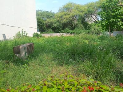 Residential Plot