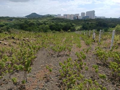 Image of 1200 Sq.ft Residential Plot / Land for sale in Lohegaon, Pune for Rs. 3609000