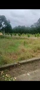 Image of 1000 Sq.ft Residential Plot / Land for sale in Haldwani, Nainital for Rs. 3200000