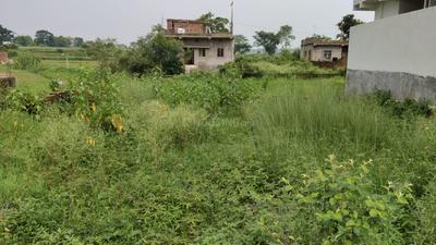 Vikash bit Plot View 3