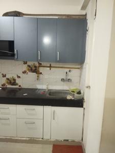 High End Windsor Paradise II Kitchen 1