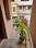 Balcony Image of Komala Nest in Domlur Layout, Bangalore