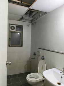 Common Bathroom Image of 909 Sq.ft 2 BHK Apartment / Flat for rent in Lodha Casa Rio, Palava Phase 1 Thane for Rs. 17300