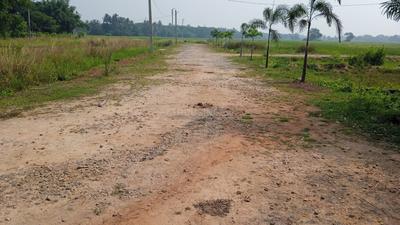 Balianta Plot View 3