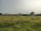 Knowledge Park 3 Plot View 2