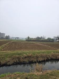 Image of 1361 Sq.ft Residential Plot / Land for sale in Shivala Par, Patna for Rs. 6500000