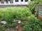 Cybele Greens Main Image 1