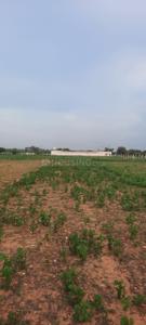 Image of 22000 Sq.ft Residential Plot / Land for sale in Mathur, Pudukkottai for Rs. 15400000