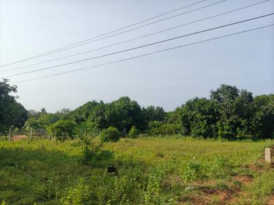 Image of 45302 Sq.ft Residential Plot / Land for sale in Kadavur, Madurai for Rs. 20000000