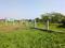 Dream city Plot View 2