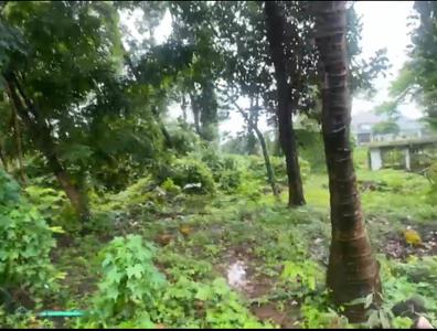 Image of 486 Sq.ft Residential Plot / Land for sale in Kuttoor, Thrissur for Rs. 14400000