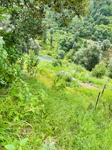 Better Homes Realty Plot View 3