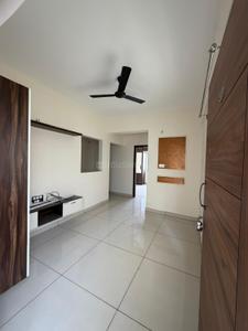 Hall Image of 750 Sq.ft 1 BHK Apartment / Flat for rent in Whitefield Bengaluru for Rs. 24999