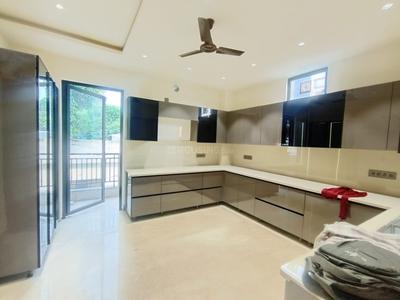 Kitchen Image of 1550 Sq.ft 3 BHK Builder Floor for sale in Sector 23 Gurgaon for Rs. 31500000