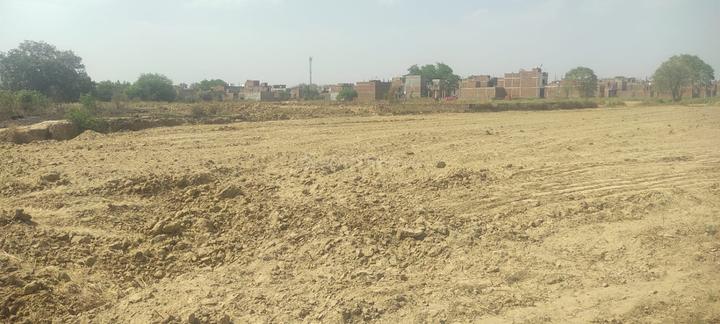 Bingawan Main Image 1