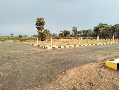 Kothavalasa Plot View 2