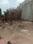 Rau Main Image 1