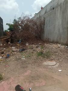 Rau Plot View 1