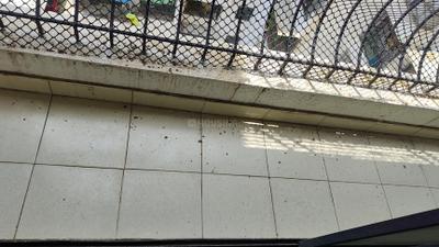 Balcony Image of 980 Sq.ft 2 BHK Apartment / Flat for rent in Pooja White Flag, Kamothe Navi Mumbai for Rs. 30000