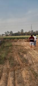 Image of 900 Sq.ft Residential Plot / Land for sale in Jhusi, Allahabad for Rs. 1200000